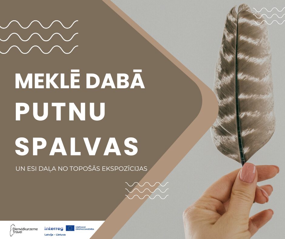 Akcija_putnu_spalvas_Dienvidkurzeme_Travel.jpg