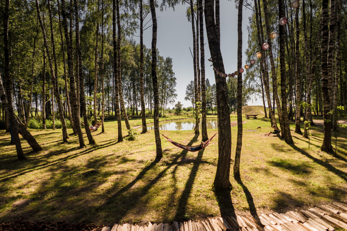 The sensory grove walking trail, a centenary oak tree and a sculptural work in Sikšņi