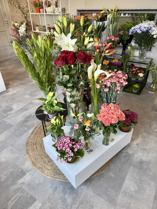 Celebration studio "MelVikaR"