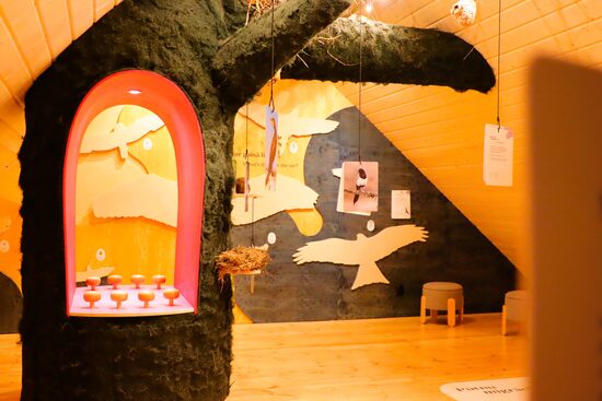 Piekrastes ciema vēstures, dabas un putnu ekspozīcija