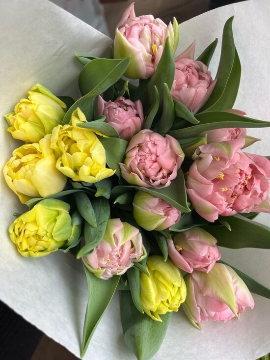 Gardening "Saulesziedi"