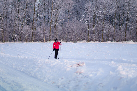 Slēpošanas trases Dienvidkurzemē