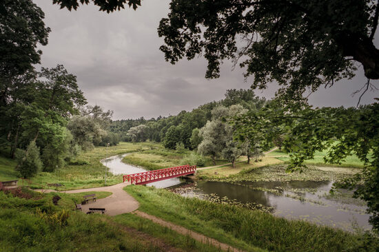 Misiņkalna dabas takas