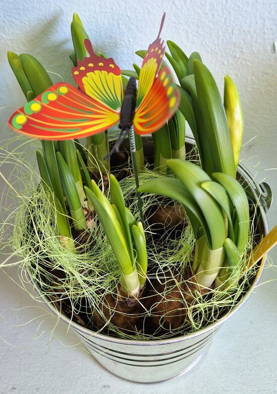 Ziedu Studija "Gunta"