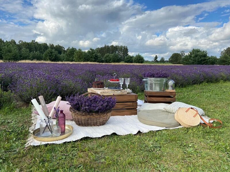 Viesu māja "Lavender beach villa"