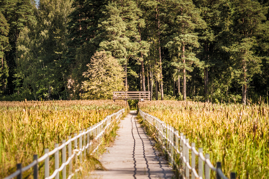 Kazdangas muižas parks