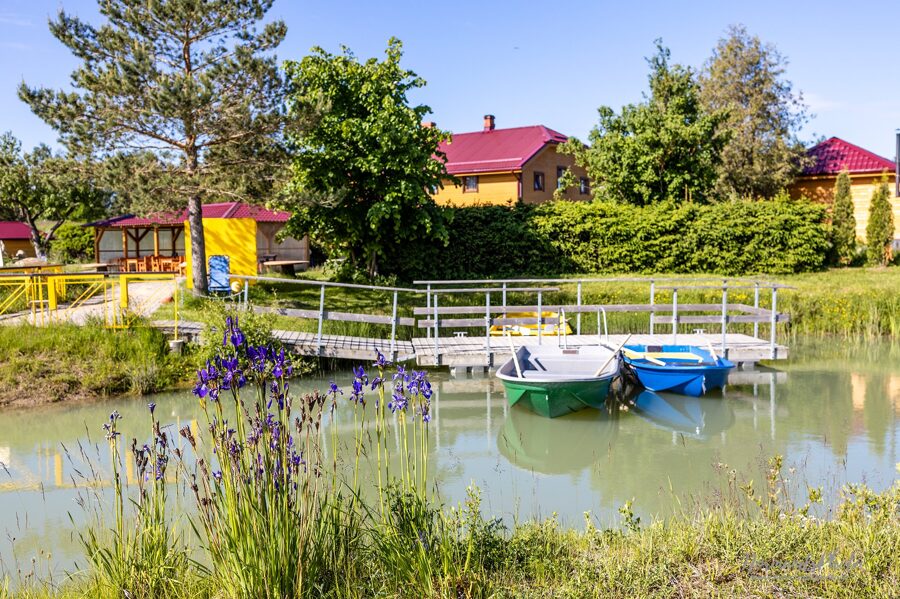 Sociālās rehabilitācijas un izziņas centrs "Dvēseles veldzes dārzs"