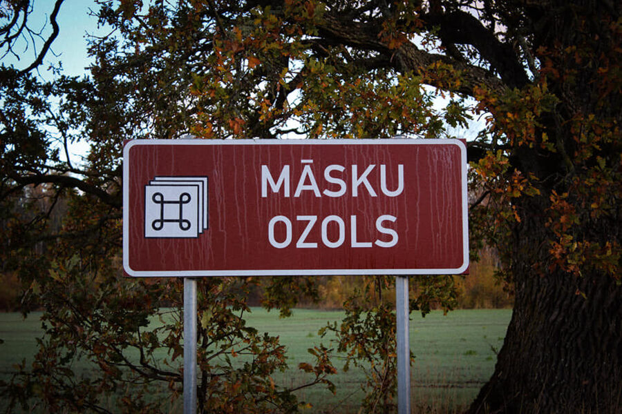 Māsku ozols 