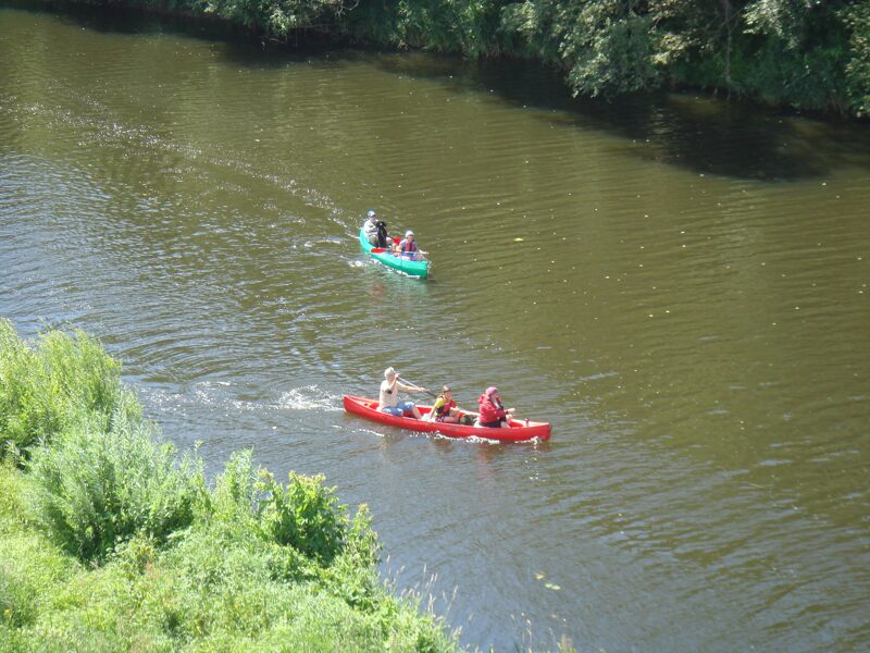 Association "Pārcēlājs"