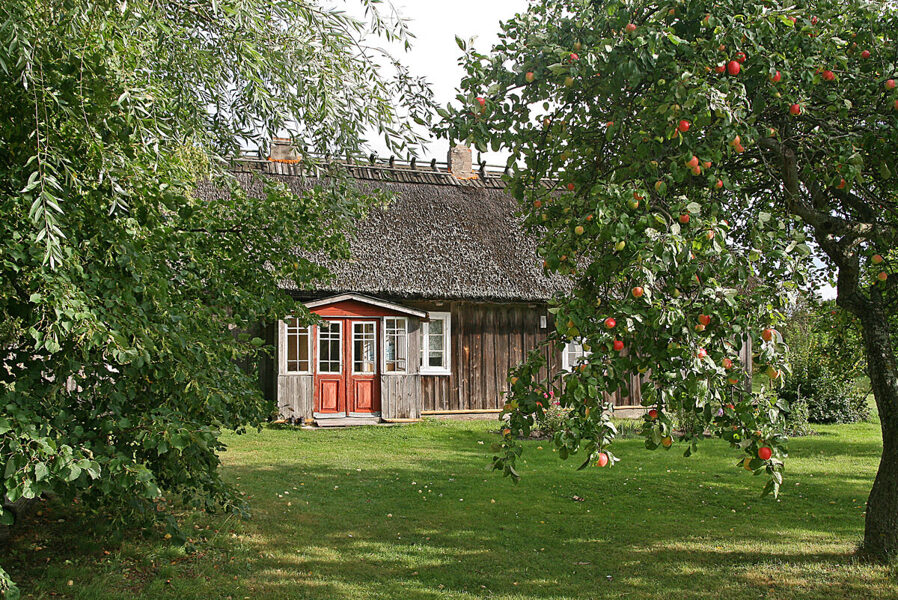 Brīvdabas muzejs "Vītolnieki"