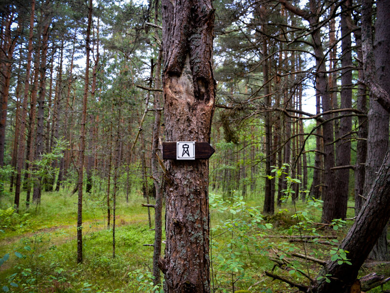 Paukščių stebėjimo bokštas Papes ežero rytinėje dalyje