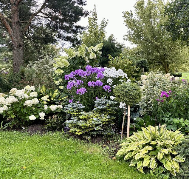 Nīcas skaistais dārzs “Kristapi”