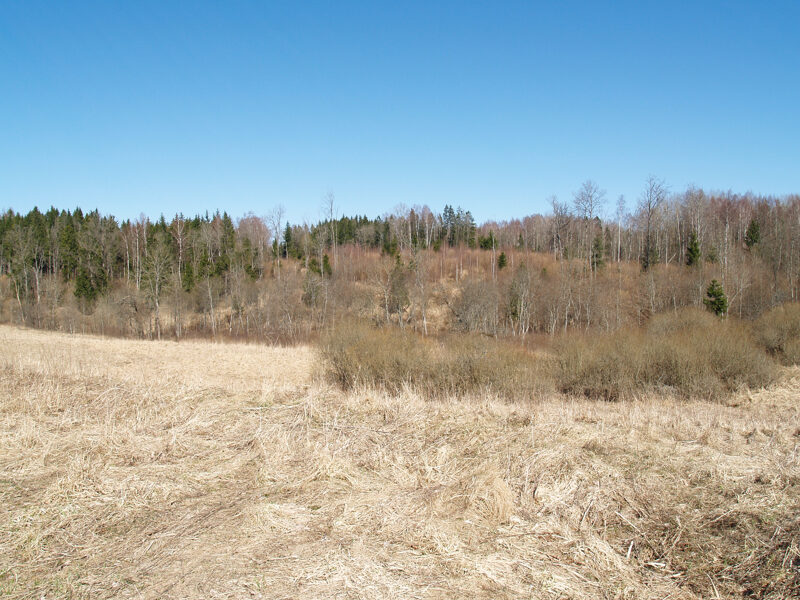 Kupšu - Ķieģeļnieku Sacred hill