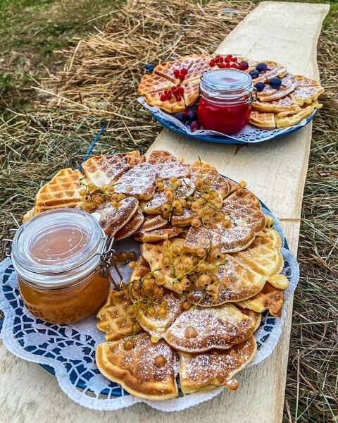 Pankūku pikniks Vectēva dārzā