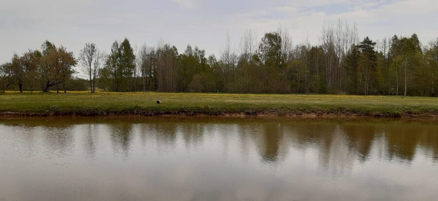 Palapinės aikštelės "Lieknas"