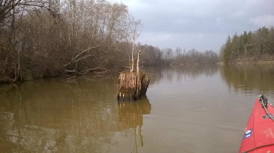 Alokste (Vārsberģi- Apriķi)