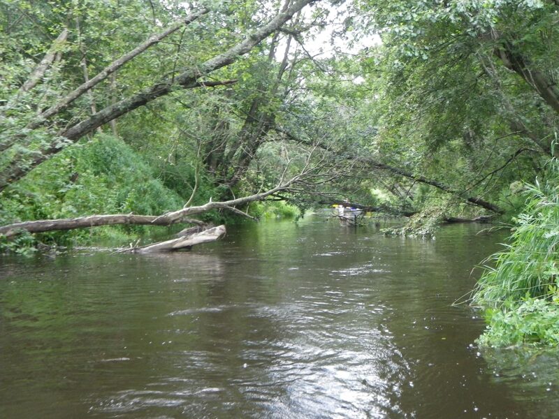 Durbe (Mežaine- Saka)
