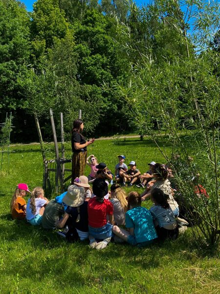 Forest design garden