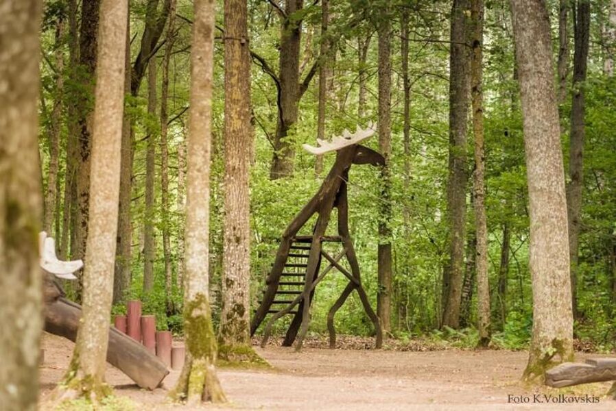 Kalēti Forest Park "Priediens"
