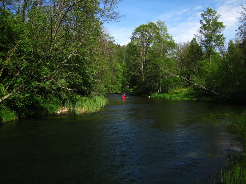 Tebra (Kalnenieku tilts- Pāvilosta)