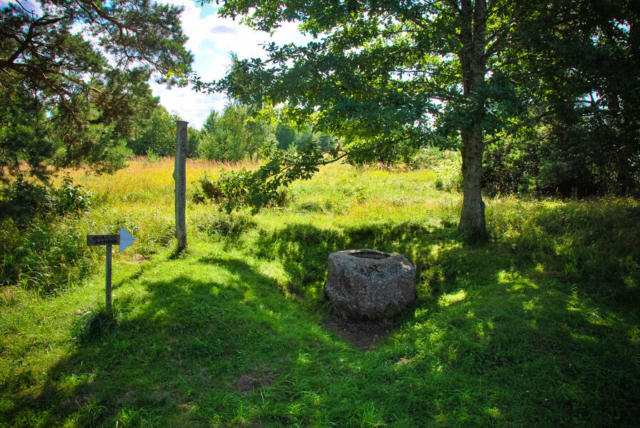 Ulmales (Pinnu) upurakmens 