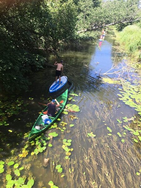 Rental of "Upeslejas" canoes, SUP boards