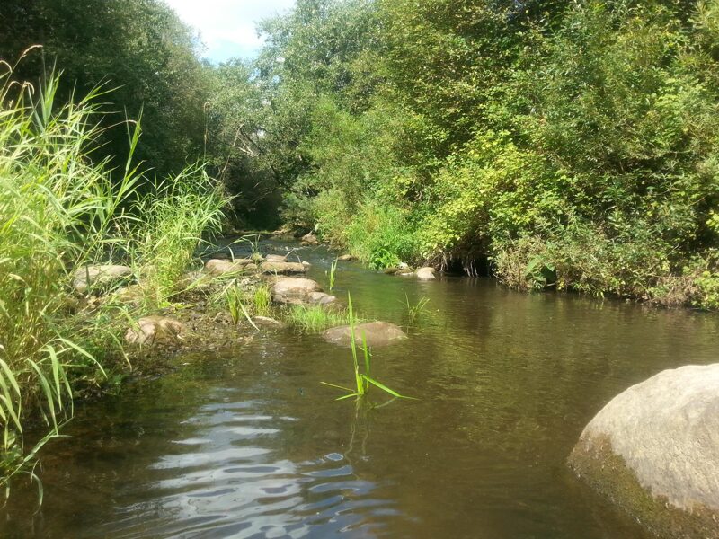 Vārtāja (Paplaka- Laņģeris)