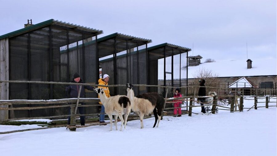 ZOO "Cīruļi"