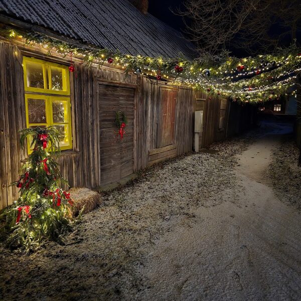 Aizpute - Ilze Elbere