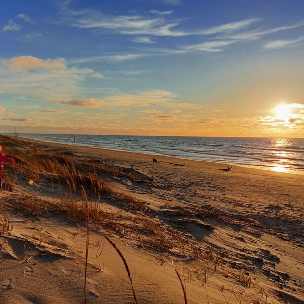 Bernāti, dauzoties pa kāpām - Diāna Ansule