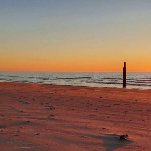 Bernāti, Naftas atradnes - Diāna Ansule