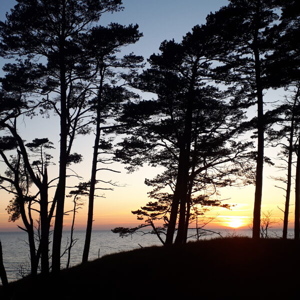 Bernāti, saulriets - Diāna Ansule