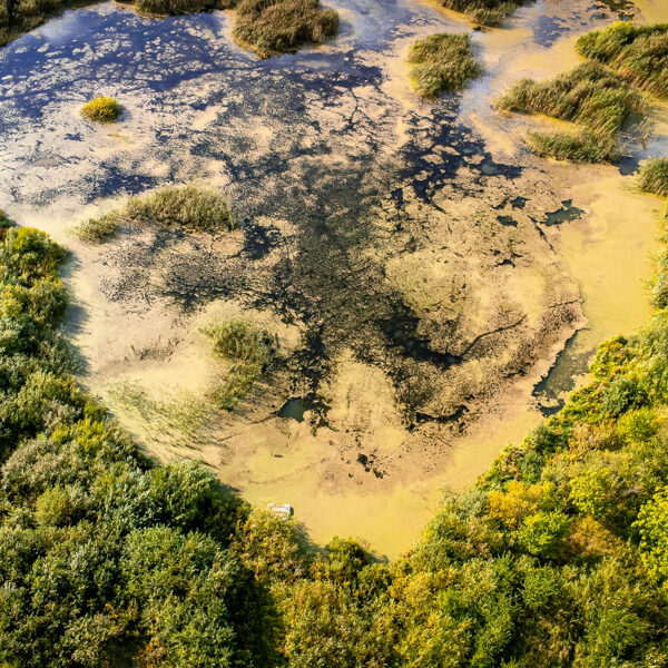 Bunkas pagasts - Asnāte Paegle 