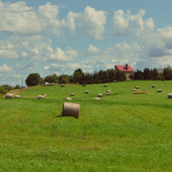 Virgas pagasts - Jānis Rudzītis