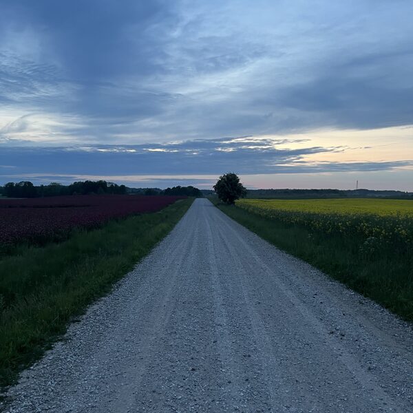 Dunalkas pagasts - Rita Vaivare