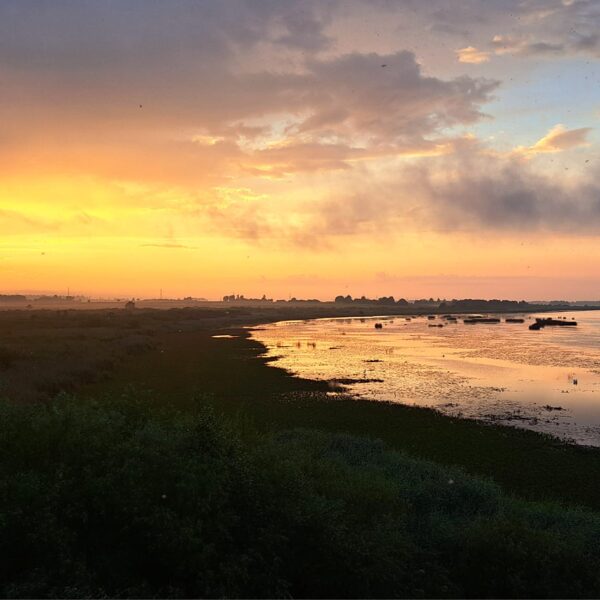 Durbes ezera skata tornis - Madara Jaunzeme