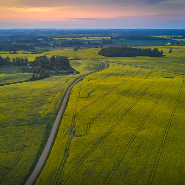 Durbes pagasts - Karlis Paegle