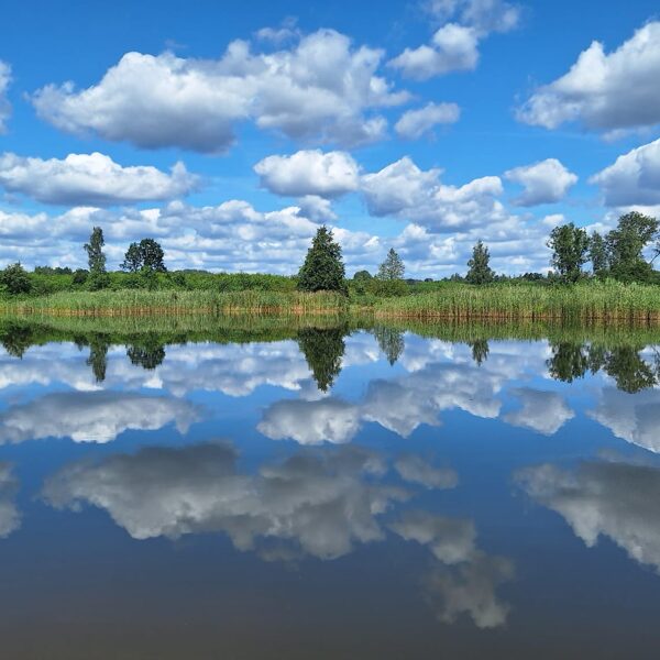 Elkuzemes dīķis - Laila Strēle