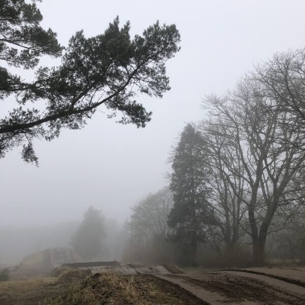 Elvita Uzare "Miglas tīts rīts" Ulmales mototrase