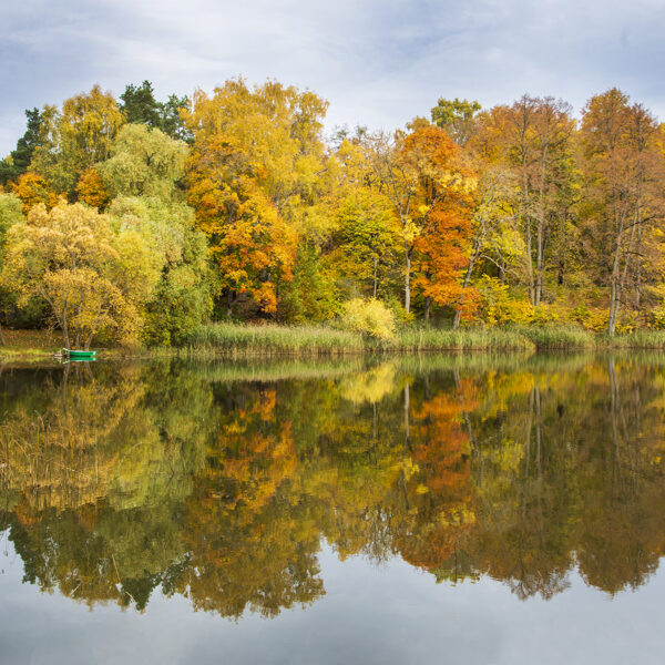 Terēze Štube "Rudens ritmi" Kazdanga