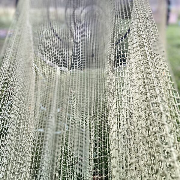 Marita Kurčanova "Caur tīkla aci" Pāvilosta