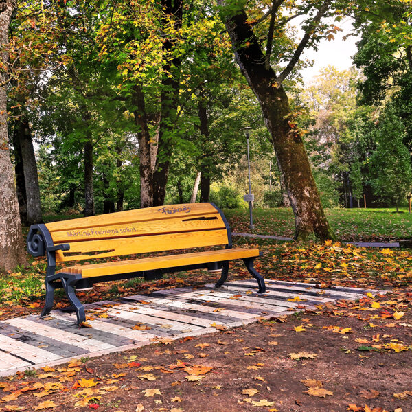 Dina Kopštāle "Mārtiņa Freimaņa muzikālais soliņš" Aizpute