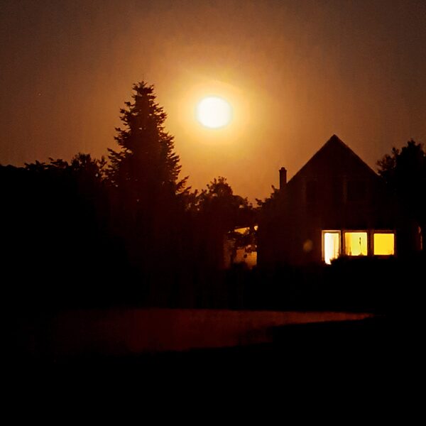 Sergejs Dunaicevs "Luna" Pāvilosta