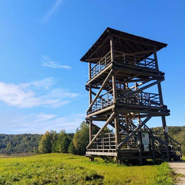 Guntis Siksna "Saulainā Embūte" Skatu tornis pie Joda dambja