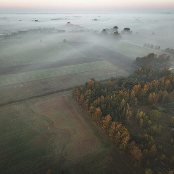 Māris Ankevics "Miglas rīts rudenī" Rude