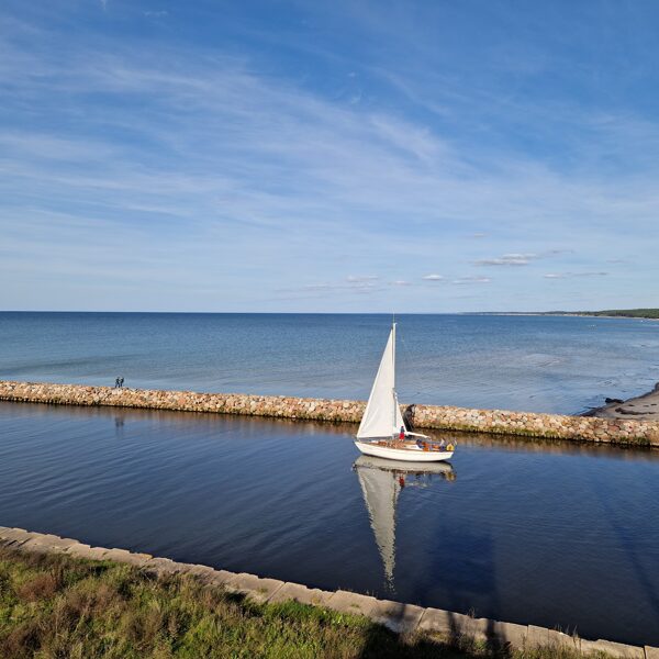 Daiga Zvejniece "Uz jūru" Pāvilosta