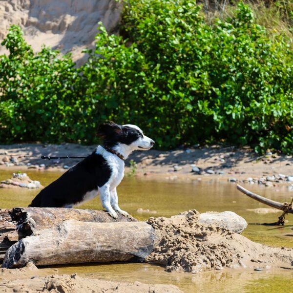 Ulvis Nicis, ULVIS NICIS Photography "Atpūtnieks Jūrkalnes pludmalē"