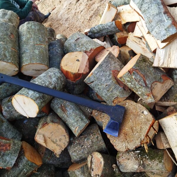 Ruta Siksna "Cirvim atpūta pirms smagā darba" Priekule/Saulaine