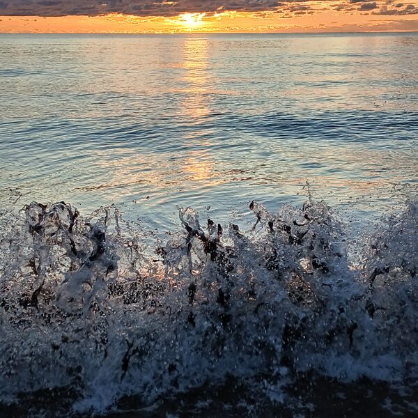 Ainars Brēdiķis "Jūra apskalo aļģes" Ziemupes jūrmala.
