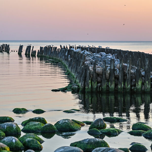 Sniedze Druvaskalne "Papes mols" 